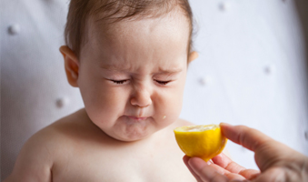 baby-zitrone-essen