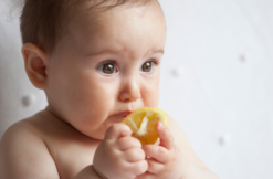 koennen babys zitronen essen