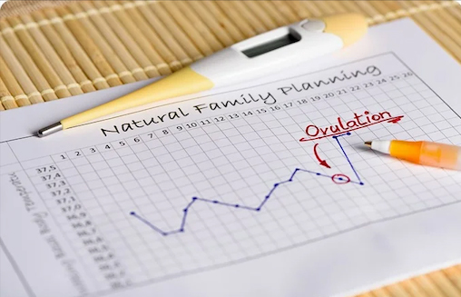 Natürliche Familienplanung: Eine gute Alternative zur Pille? [2024]
