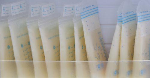 Beste Aufbewahrungstaschen für Muttermilch – (Test und Empfehlung 2023)