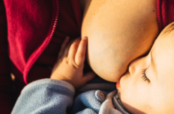 muttermilch anregen tipps