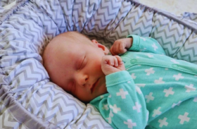 bestes-babynest