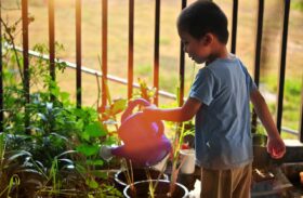 So wird der Garten zum Familienparadies